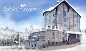 Готель "Терем"