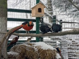 Санаторій "Мармуровий палац"