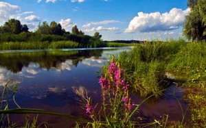 Таврійський бриз