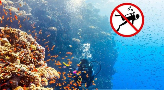 До уваги відпочиваючих у Єгипті!