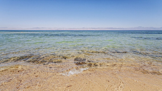 Що лікує вода Червоного моря?