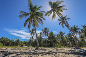 Міністерство туризму Домініканської Республіки оголошує план відновлення сектора