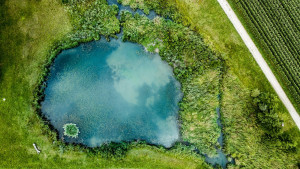 ТОП-5 найкрасивіших місць для купання та відпочинку під Києвом у спекотні дні