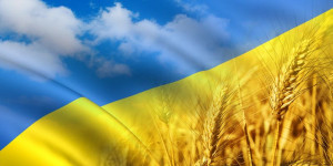 Допомога всередині переміщених осіб на проживання