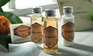 В готелях ЄС можуть зникнути одноразові шампуні та гелі для душу