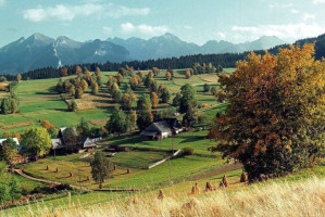 Де відпочити на природі у Польщі