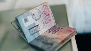 Перевірте свій паспорт: нюанси, через які вас можуть не випустити за кордон