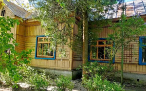 У Києві створюють музей лісу