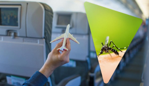 Зграя комарів "захопила" літак і зірвала виліт