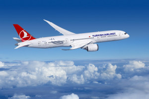 Літак Turkish Airlines перервав зліт у Стамбулі через кота в салоні